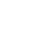 Forest Print