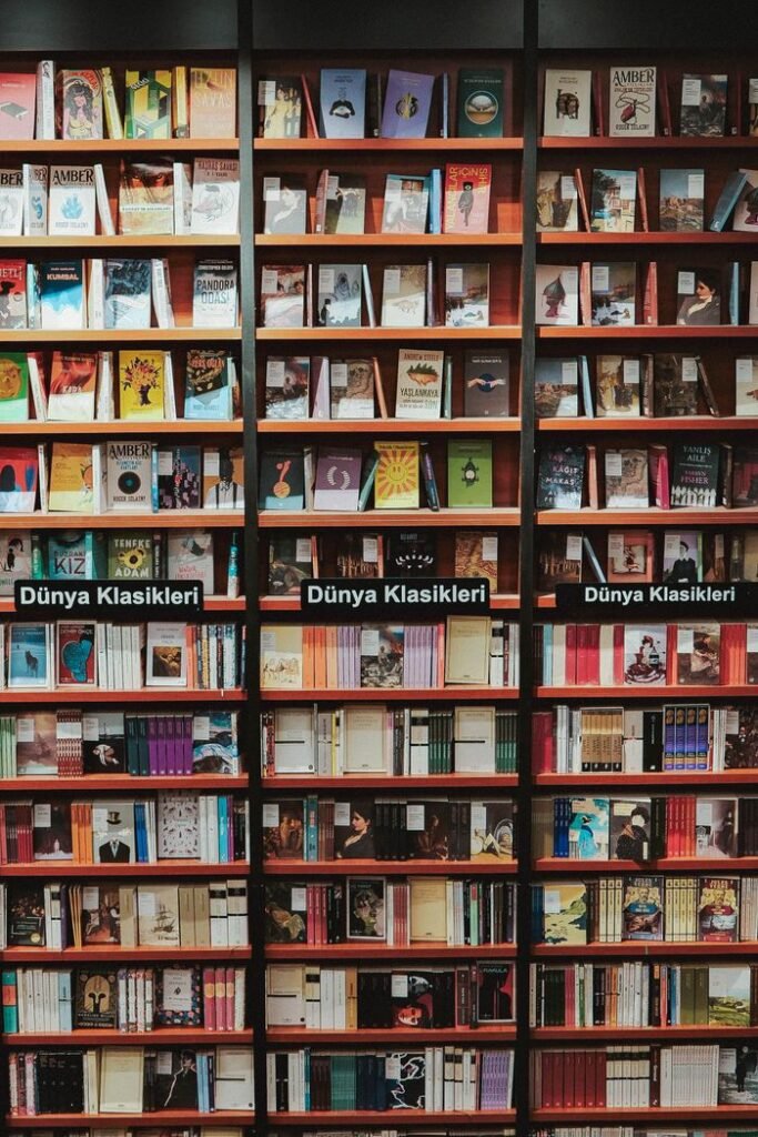 Bookshelves filled with classic literature and novels labeled 'Dünya Klasikleri'.